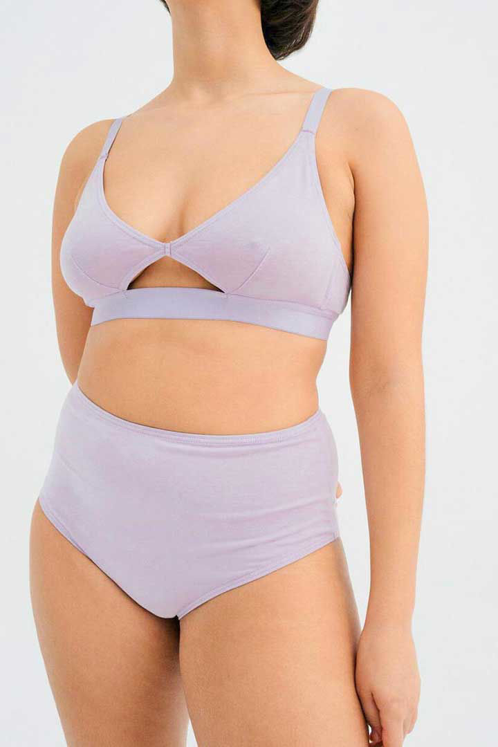 Picture of High Waisted Brief-Lilac