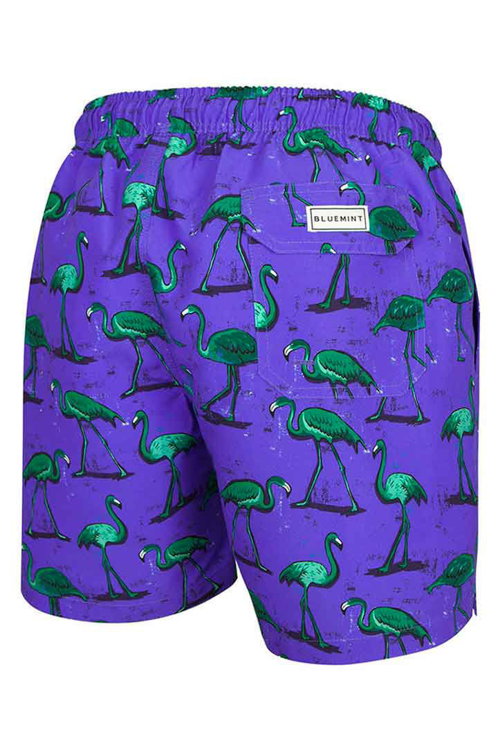 Picture of Arthus Strech Swim Short-Plum Flamingo