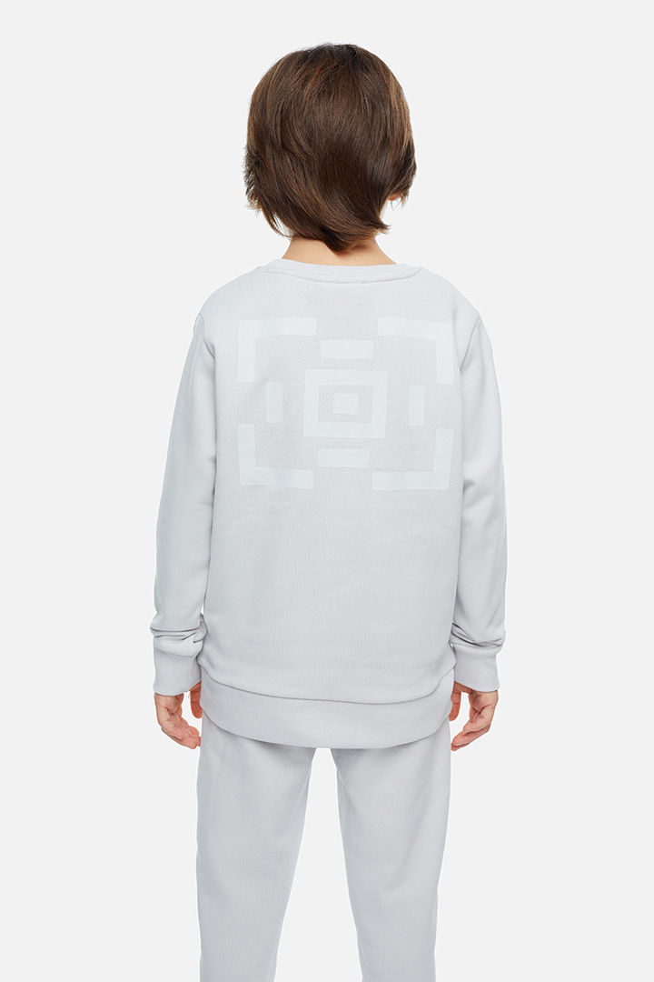 Picture of Sweatshirt-001