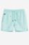 Picture of Equator Classic Swim Short 