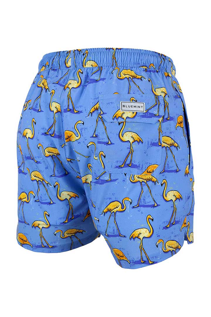 Picture of Arthus Strech Swim Short-Sky Flamingo