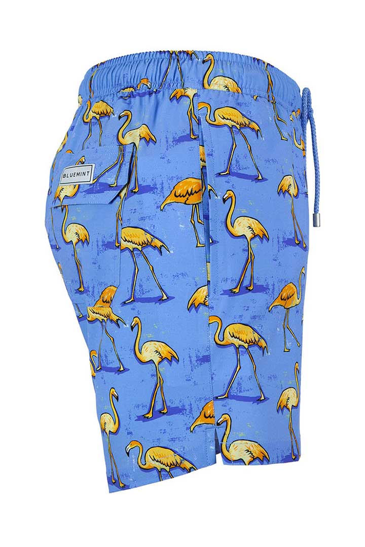 Picture of Arthus Strech Swim Short-Sky Flamingo