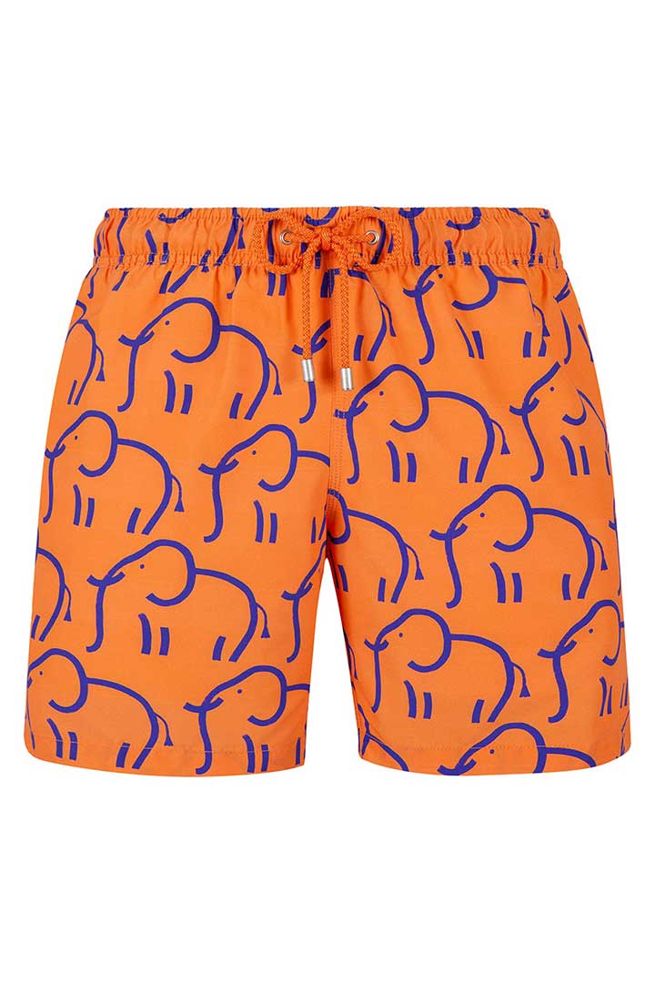 Picture of Arthus Swim Short-Stroke Elephant