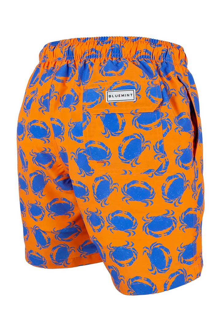 Picture of Arthus Swim Short-Orange Crab